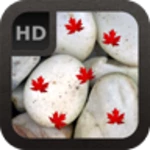 ocean pebbles live wallpaper android application logo